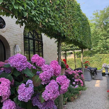 Guesthouse Villa Vauban-3